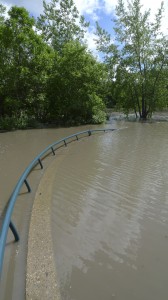 walkway to nowwhere